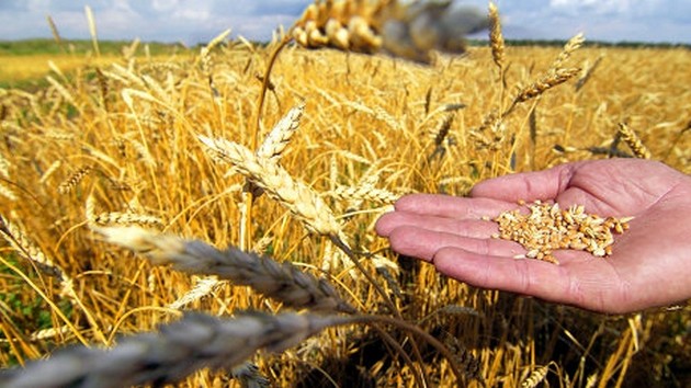 Афганистан готов закупать зерно и муку из СКО